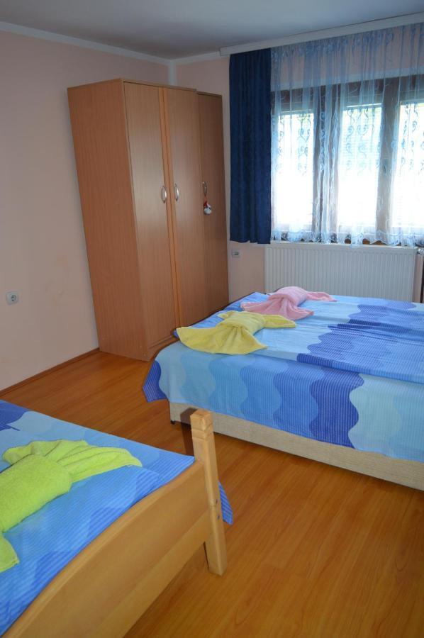 Apartman Km Dordevic Сокобаня Экстерьер фото