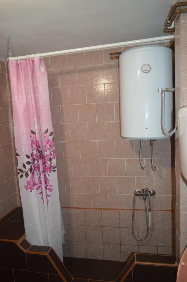 Apartman Km Dordevic Сокобаня Экстерьер фото
