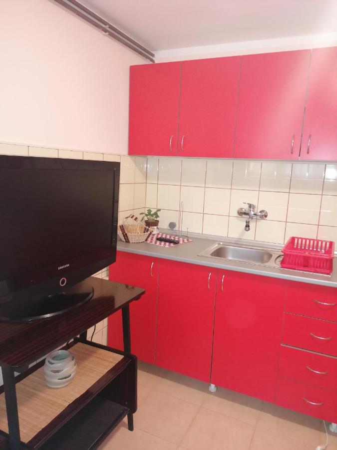 Apartman Km Dordevic Сокобаня Экстерьер фото